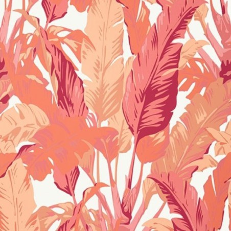 Wallpaper Travelers Palm Pink Coral