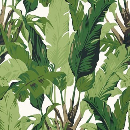 Wallpaper Travelers Palm Green