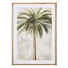 Quadro Palm I Bamboo 70x100
