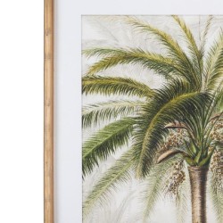 Frame Palm I Bamboo 70x100